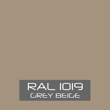 RAL 1019 Grey Beige Aerosol Paint